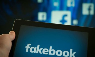 ‘Junk news’ gets massive engagement on Facebook ahead of EU elections, study finds