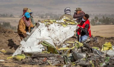 US aviation officials think a bird strike was factor in 737 Max crash